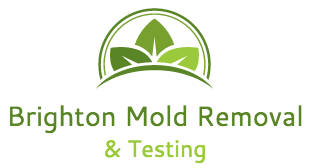 Brighton Mold Removal & Testing